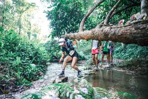 BIB: 
                            <button type="button" onclick="openModal(25432892)" class="btn btn-primary btn-sm float-right btn-popup" data-toggle="modal" data-target=".modal-high-quality">
                        <i class="fas fa-shopping-cart"></i> Add to Cart
                    </button>
                                            <button type="button" onclick="isThisMe(25432892, true)" class="btn btn-success btn-sm float-right btn-popup btn-isme hidden" data-toggle="tooltip" data-placement="bottom" title="นี่คือรูปของคุณใช่ไหม คลิกที่นี่เพื่อเอาเข้าอัลบั้ม">
                        <i class="fas fa-plus"></i> Add to album
                    </button>
                    <button type="button" onclick="isThisMe(25432892, false)" class="btn btn-warning btn-sm float-right btn-popup btn-isnotme hidden">
                        <i class="fas fa-ban"></i> Remove from album
                    </button>